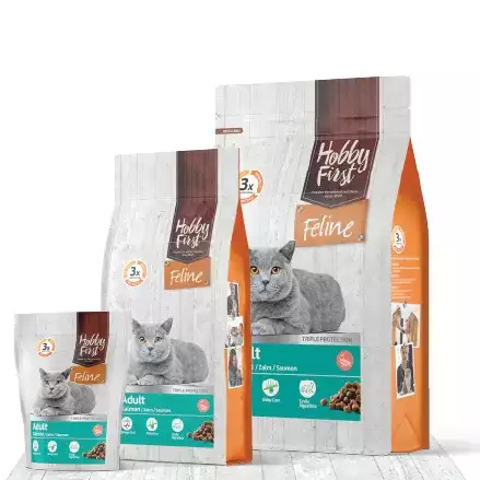 Adult | HobbyFirst | Zalm