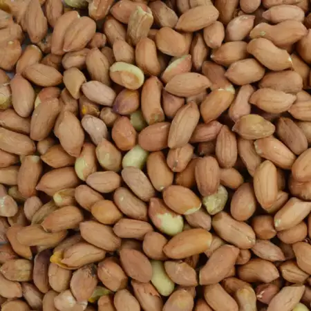GEPELDE PINDA'S | GARDEN HEROES | 5KG
