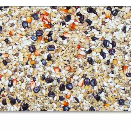 D110 olympic marathon booster